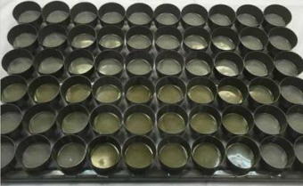 Сборка форм для выпечки на решетке "Маффин", 5,5*6*3 см, 60 шт, решетка 60*40, P.L. Proff Cuisine (ч
