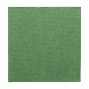 Салфетка бумажная Double Point двухслойная зеленая, 39*39 см, 50 шт, Garcia de Pou